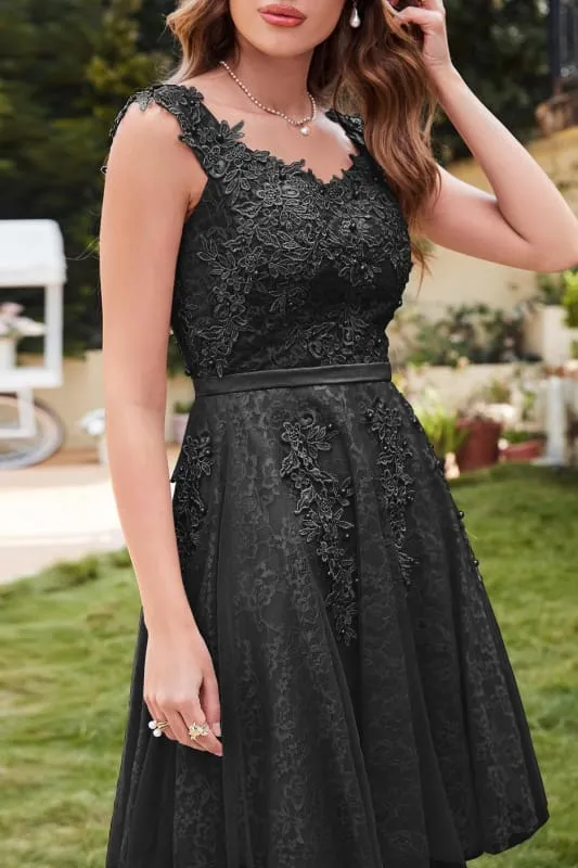 Elegant Scoop Neck Tulle Lace Short Homecoming Dress Sleeveless Appliques Mini Party Dress