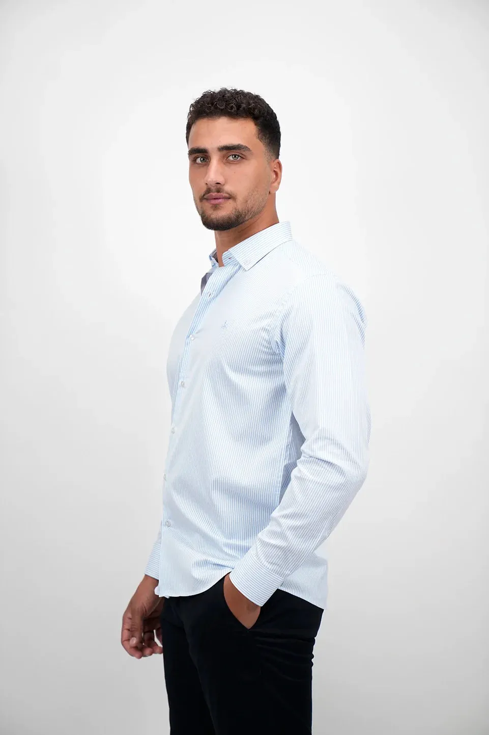 Long Sleeved Blue Stripe Shirt