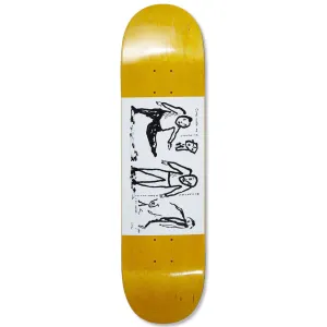 POLAR TEAM MODEL THE PROPOSAL 8.25"