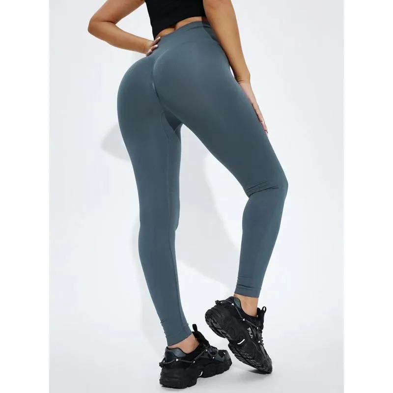 Yoga Elasticity Multi-Color Seamless Fitness Running Sports Leggings